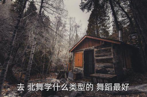 去 北舞学什么类型的 舞蹈最好