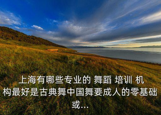  上海有哪些专业的 舞蹈 培训 机构最好是古典舞中国舞要成人的零基础或...