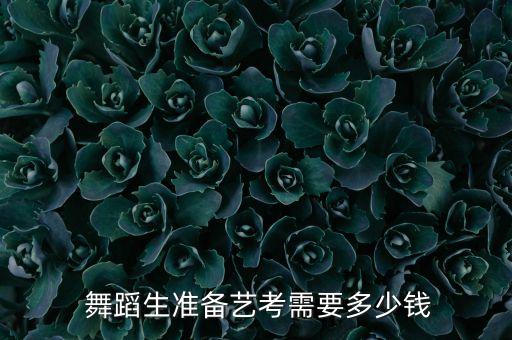 舞蹈考级请考官多钱,一、拉丁舞考级收费在三万元左右