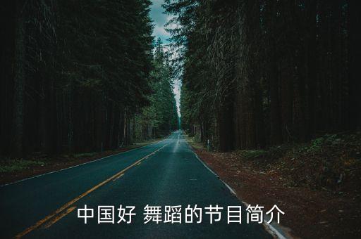 中国好舞蹈 台湾评论,《中国好舞蹈》寻找中国最受欢迎舞蹈家