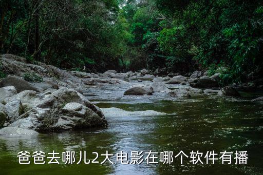 爸爸去哪儿2大电影在哪个软件有播