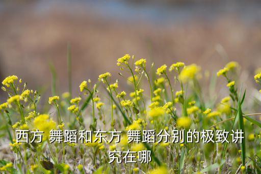 西方 舞蹈和东方 舞蹈分别的极致讲究在哪
