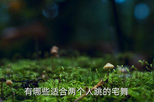 有哪些适合两个人跳的宅舞