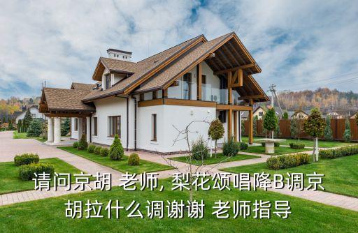 请问京胡 老师, 梨花颂唱降B调京胡拉什么调谢谢 老师指导