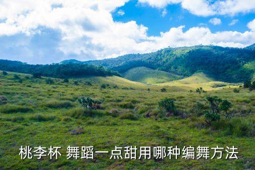  桃李杯 舞蹈一点甜用哪种编舞方法