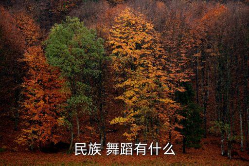 民族 舞蹈有什么