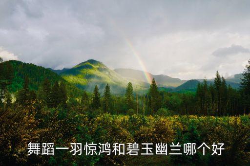  舞蹈一羽惊鸿和碧玉幽兰哪个好