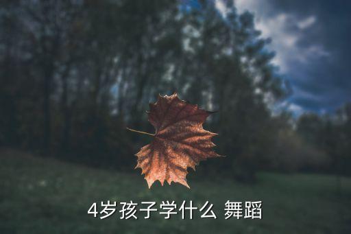 四考级民族舞舞蹈视频,中国舞蹈等级与年龄分别为十个级别