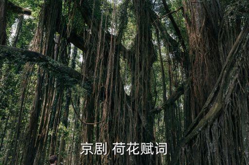 京剧 荷花赋词