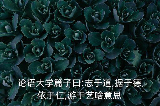论语舞蹈视频,孔子的乐舞思想体现在论语中吗?