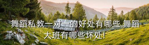 舞蹈是上大师课好吗,想学舞蹈选辅导班有用吗?