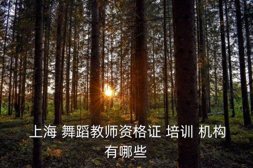 上海minzu舞蹈培训机构,全国十佳舞蹈培训机构名单出炉