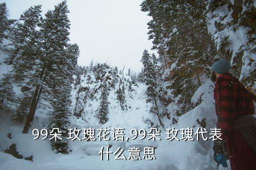 99朵 玫瑰花语,99朵 玫瑰代表什么意思