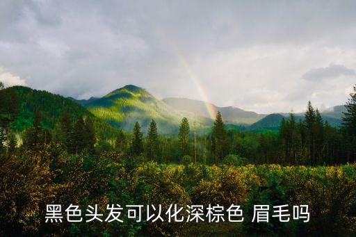 黑色头发可以化深棕色 眉毛吗