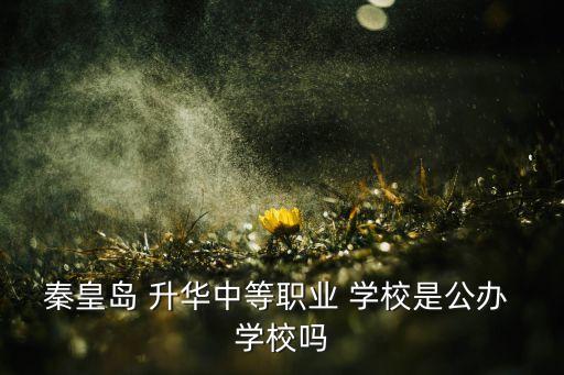 升华舞蹈学校任丘,秦皇岛升华中等职业学校学校简介