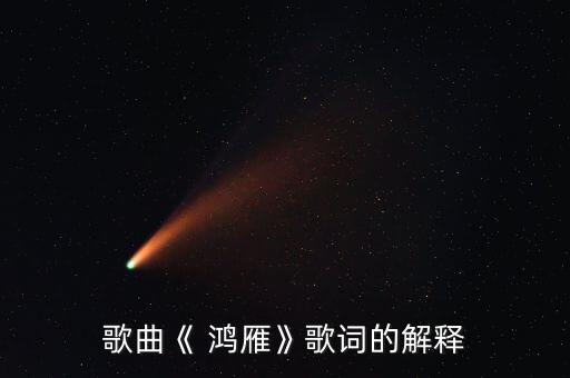 鸿雁南飞 舞蹈,鸿雁南飞表达对生活的感悟