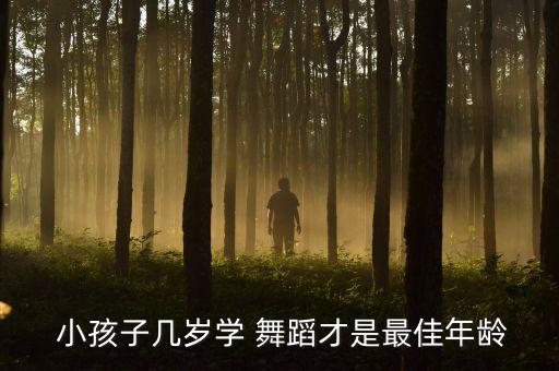维舞舞蹈室小孩的,孩子学不学舞蹈需要综合考虑几点