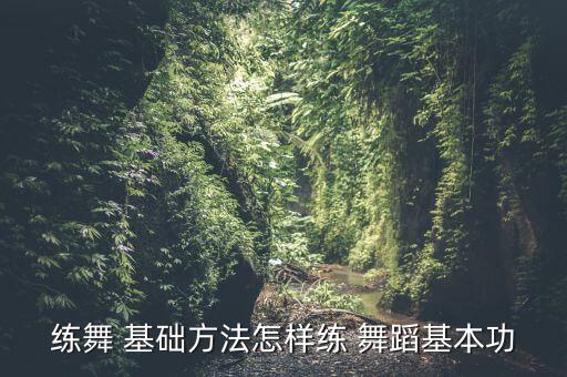 练舞 基础方法怎样练 舞蹈基本功