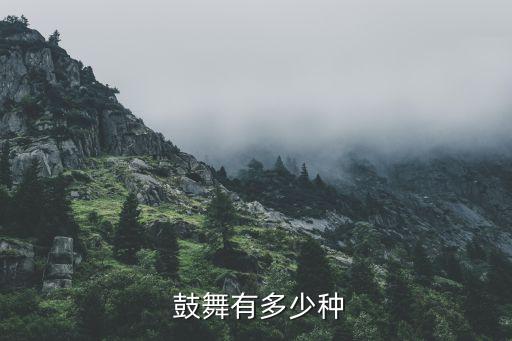 舞蹈鼓舞简介,中国鼓舞种类繁多表演形式不一