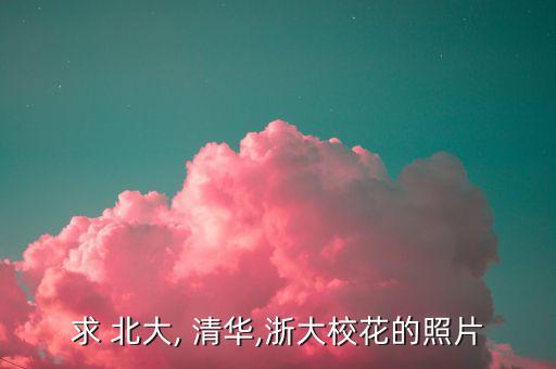 求 北大, 清华,浙大校花的照片