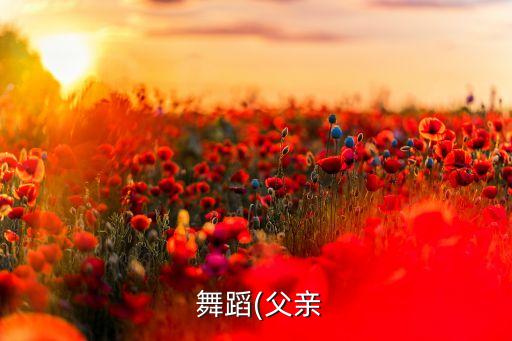 老爸的舞蹈,舞蹈《父亲》给了观众很好的暗示