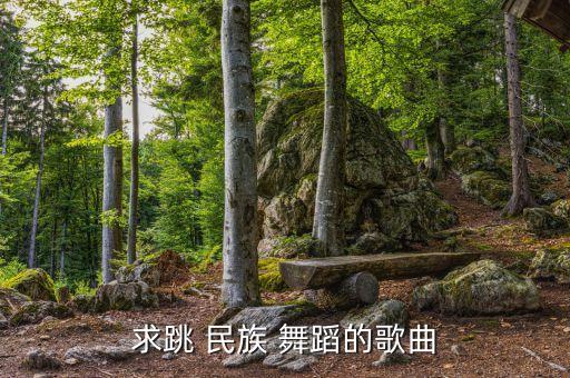 求跳 民族 舞蹈的歌曲