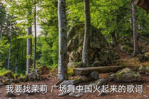 我要找茉莉 广场舞中国火起来的歌词