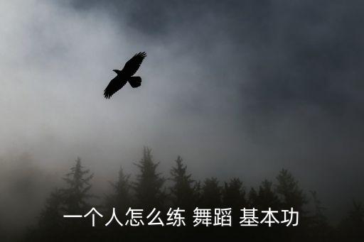 一个人怎么练 舞蹈 基本功