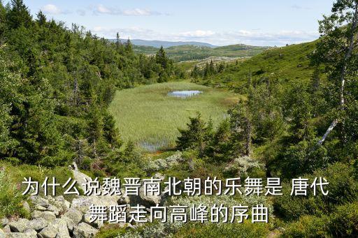 为什么说魏晋南北朝的乐舞是 唐代 舞蹈走向高峰的序曲