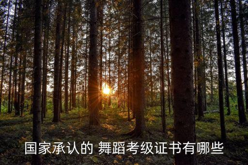 国家承认的 舞蹈考级证书有哪些