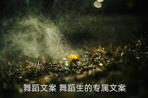  舞蹈文案 舞蹈生的专属文案