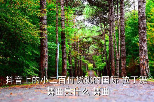 抖音上的小二百付货跳的国际 拉丁舞 舞曲是什么 舞曲