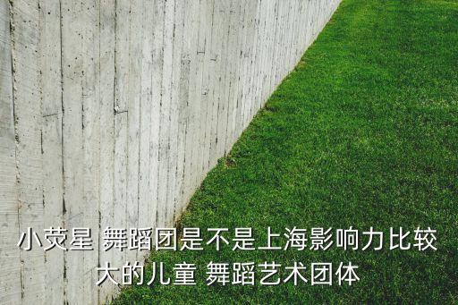小荧星 舞蹈团是不是上海影响力比较大的儿童 舞蹈艺术团体