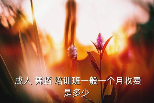 厦门舞蹈培训班成人,一对一舞蹈培训可大大提高学习质量和效率