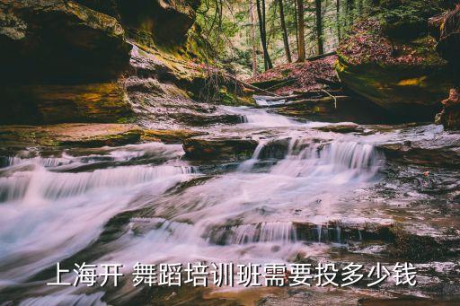 上海成人舞蹈班,舞蹈培训学校有哪些重点?