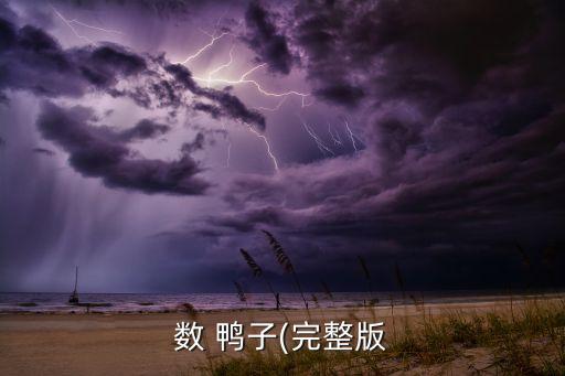 数 鸭子(完整版