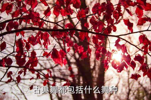 古典舞都包括什么舞种