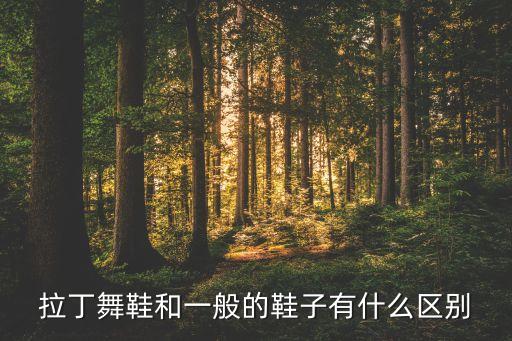 拉丁舞鞋和一般的鞋子有什么区别
