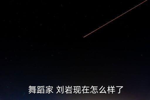  舞蹈家 刘岩现在怎么样了
