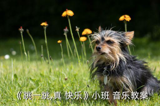 真快乐三级舞蹈音乐,跳起来音乐cd第一集