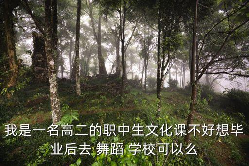 我是一名高二的职中生文化课不好想毕业后去 舞蹈 学校可以么