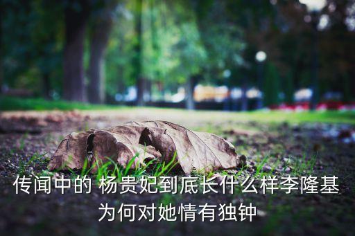 传闻中的 杨贵妃到底长什么样李隆基为何对她情有独钟