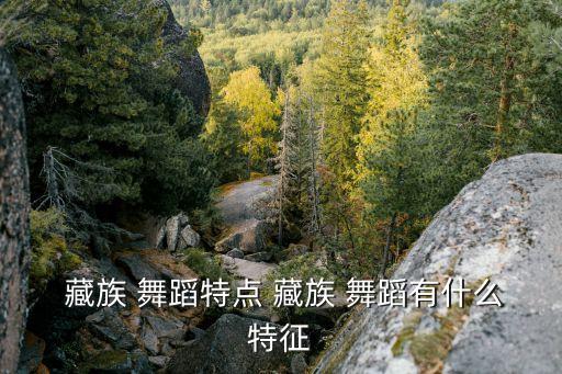  藏族 舞蹈特点 藏族 舞蹈有什么特征