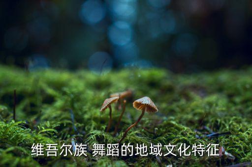 维族男女舞蹈,新疆维吾尔族舞蹈分为自娱舞蹈和表演舞蹈