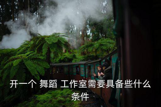 开一个 舞蹈 工作室需要具备些什么条件