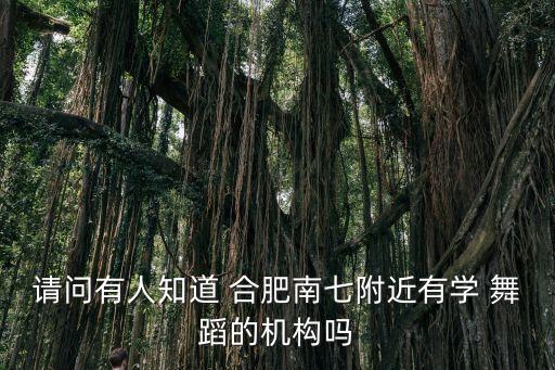 请问有人知道 合肥南七附近有学 舞蹈的机构吗