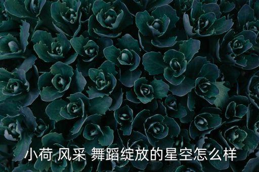  小荷 风采 舞蹈绽放的星空怎么样