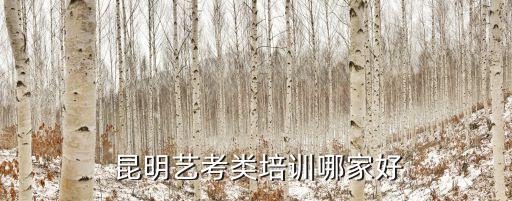 昆明兼职舞蹈培训班,如何选择好的舞蹈培训班?