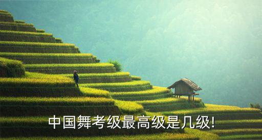 中国舞九级班舞蹈,中国舞蹈学科考级分为13个等级