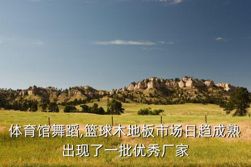 南海体育馆舞蹈,篮球木地板市场日趋成熟出现了一批优秀厂家